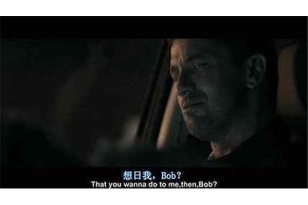电影字幕翻译