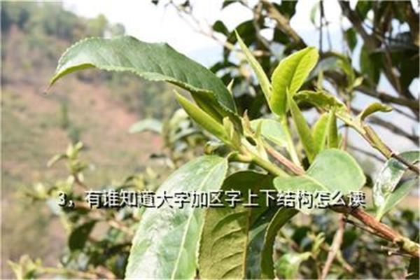 乘怎么组词
