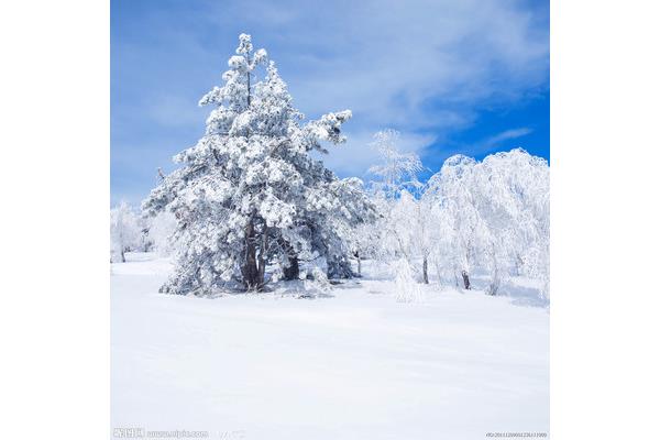 冬天的雪景