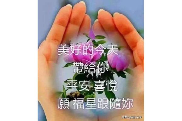 早上的问候语大全