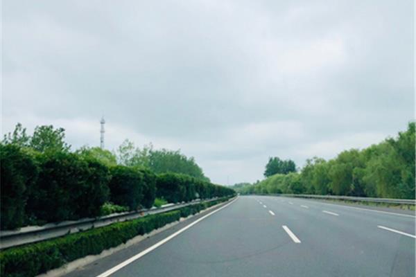 艺术学校排名