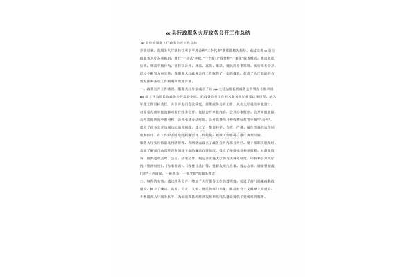 政务大厅工作总结