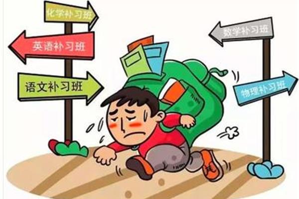 双轨制教育