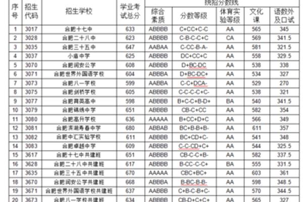 合肥高中学校排名