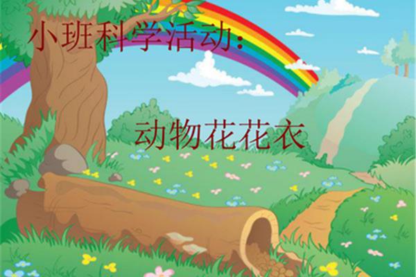 动物花花衣