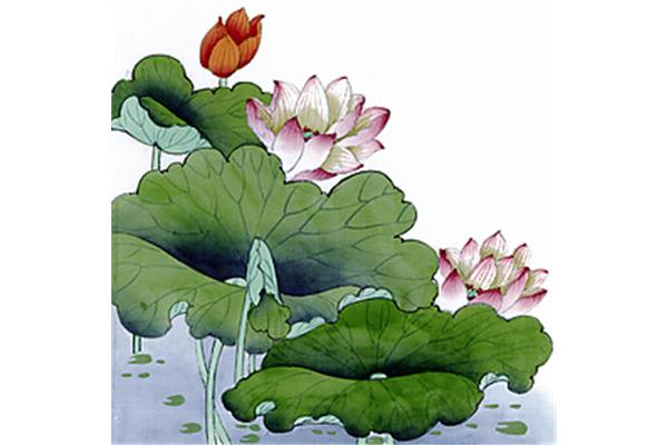 荷花赞美词