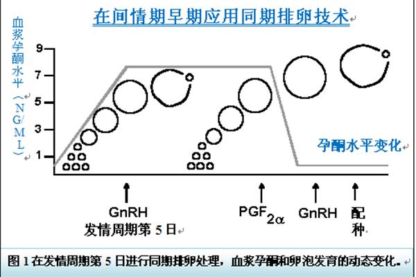 俱乐部理论