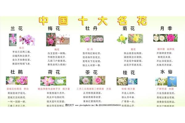 关于杜鹃花的诗
