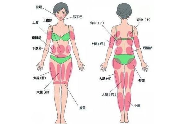 腹部手术拆线时间