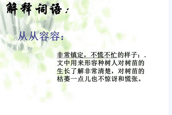 形容树的词语