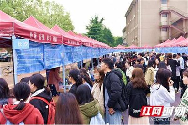 湖南大学招聘