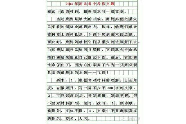 我作文600字