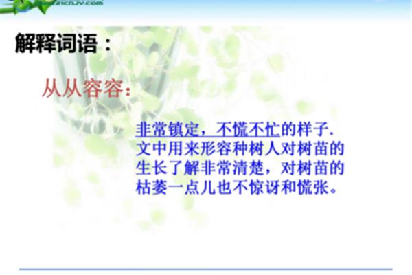 形容树的词语