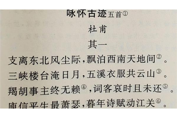 咏怀古迹其一杜甫
