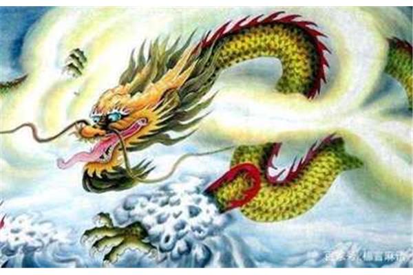 什么龙什么虎