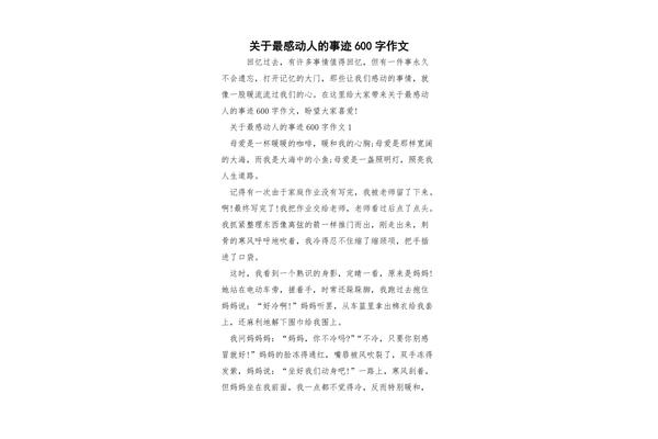 我作文600字