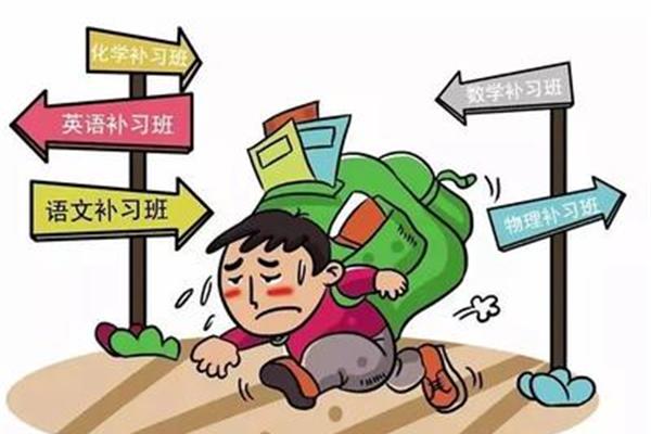双轨制教育