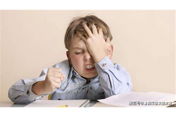 孩子不读书怎么办