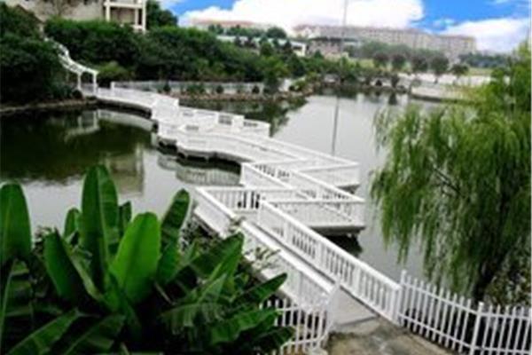 横山桥高级中学