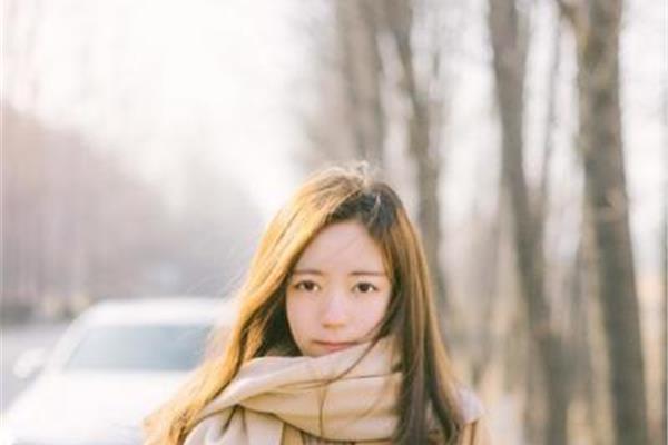 单纯是什么意思