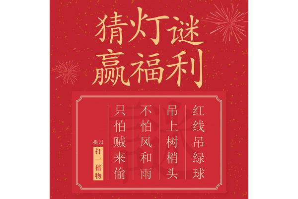 简单的元宵节灯谜