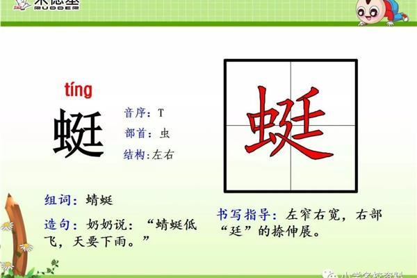 蜻蜓的蜓怎么组词