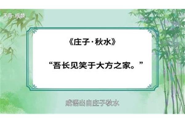 大方之家的意思