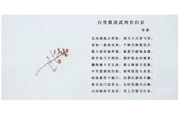 形容树的词语