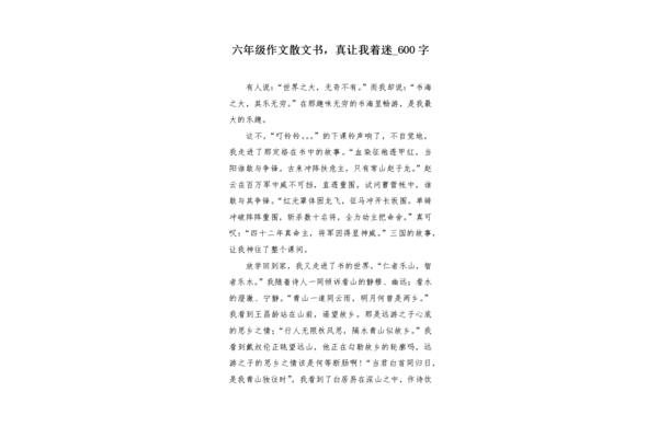 我作文600字