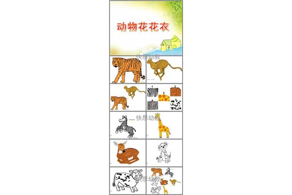 动物花花衣