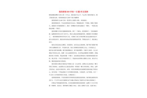 我作文600字