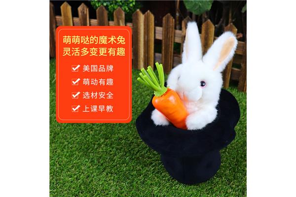 小白兔怎么分公母
