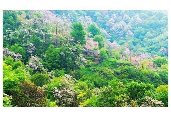 花果山海拔