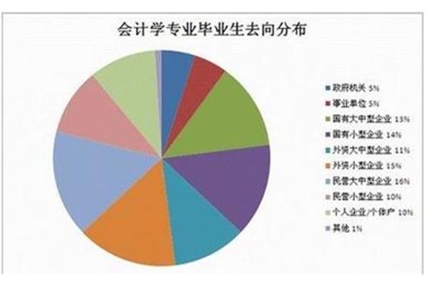 会计职业分析