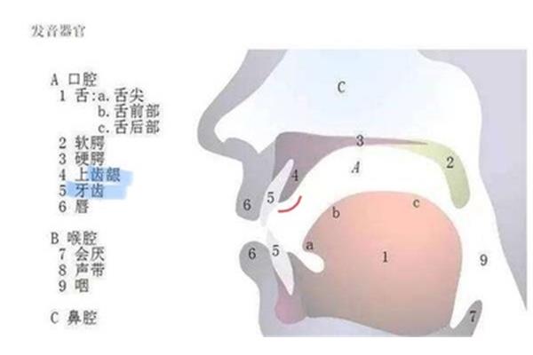 匀称怎么读音