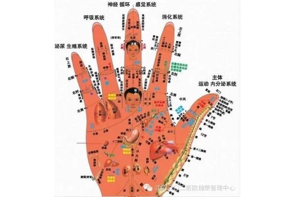 什么样的小手