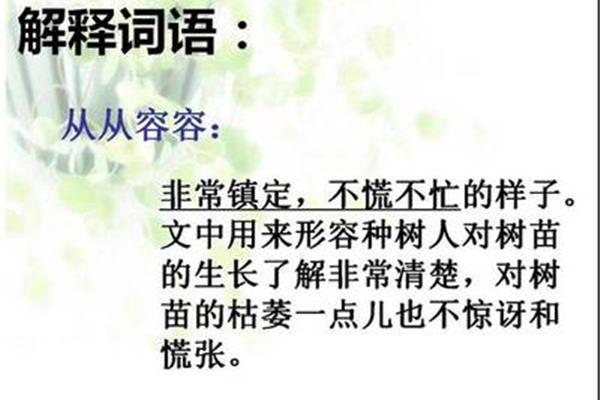 形容树的词语