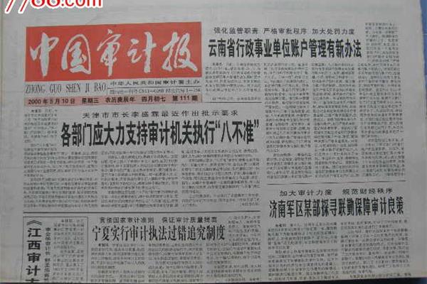 中国审计报