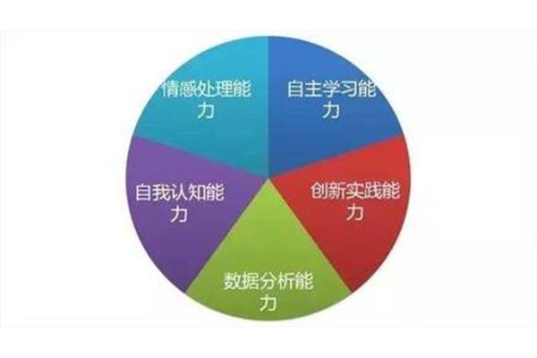 自我认知能力