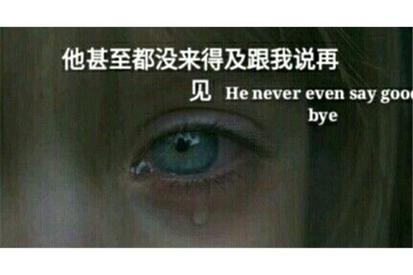 我从来没有这样