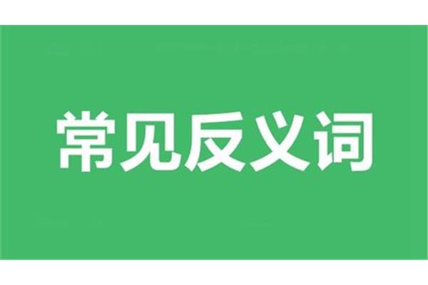 奚落的反义词