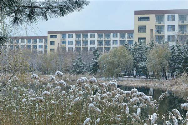 山东南山学院