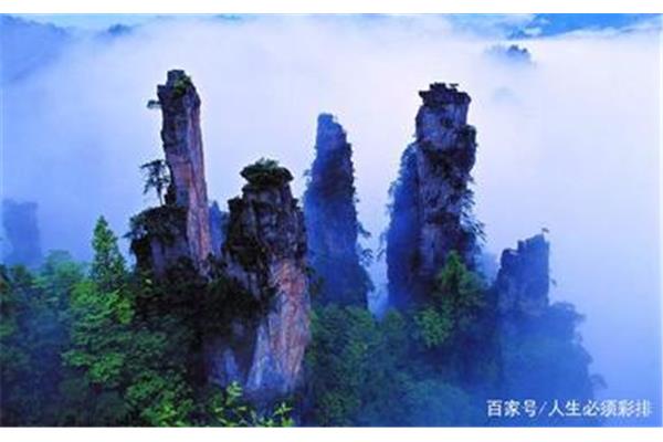 只因身在此山中