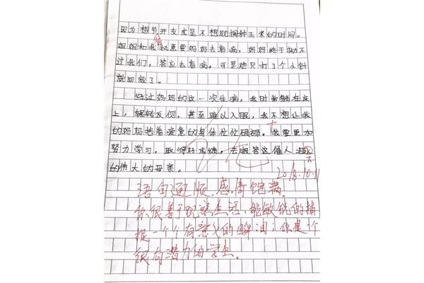 种玉米作文