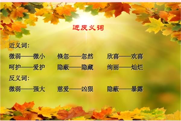微小的反义词
