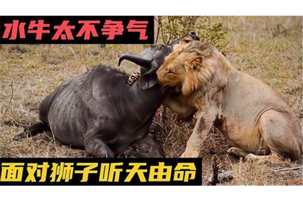 匪夷所思什么意思