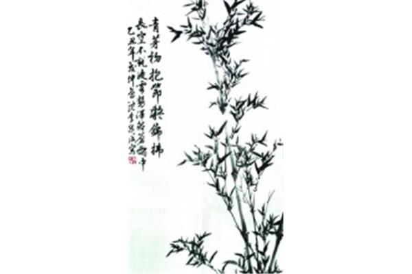 赞美竹子的诗句