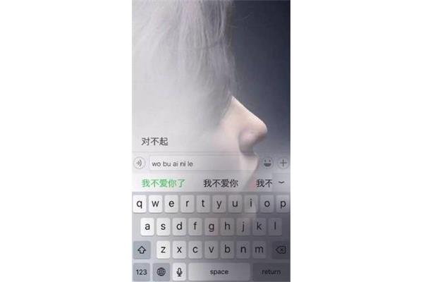 我从来没有这样