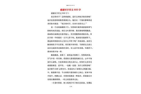 对手的作文