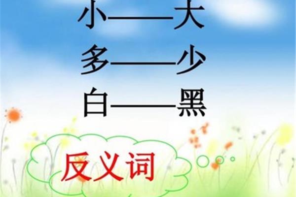 微小的反义词